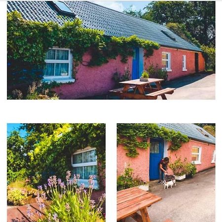 Wisteria Cottage Ballyconnell  Buitenkant foto