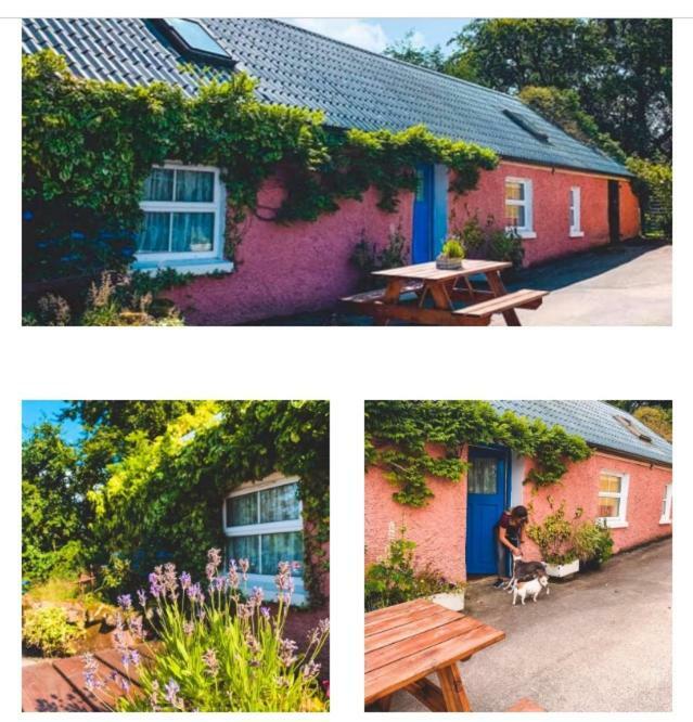 Wisteria Cottage Ballyconnell  Buitenkant foto